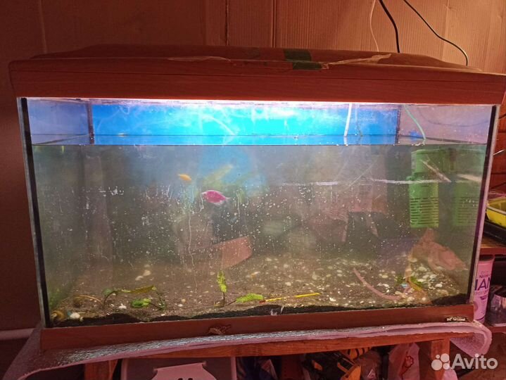 Аквариум