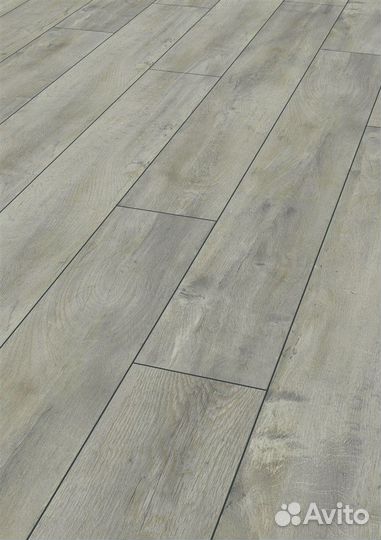 Ламинат Kronotex Дуб восточный серый D 4985