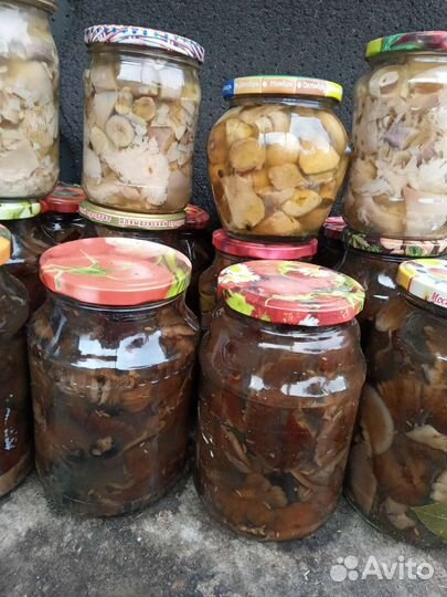 Продам грибы,сок