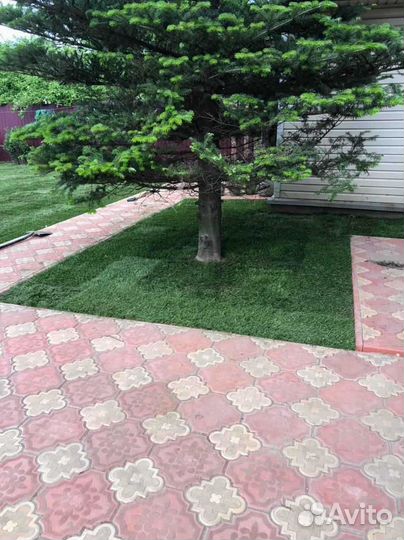 Рулонный газон /продажа/укладка