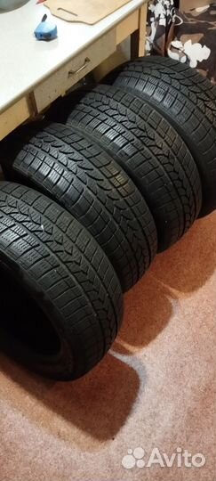 Tigar Winter 1 215/55 R17 98