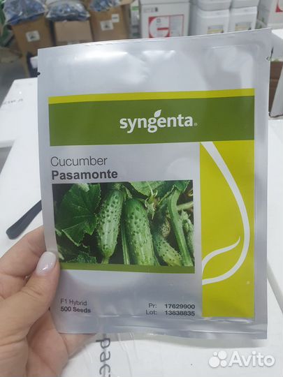 Семена Огурец Пасамонте 500с