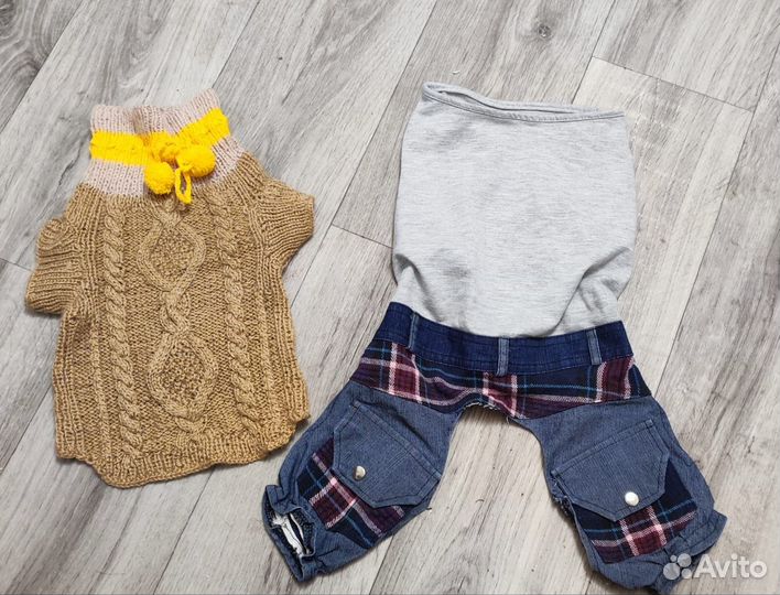 Одежда для собаки