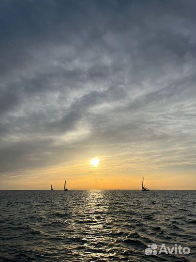 Яхта в море, встреча с дельфинами и рыбалка 3часа