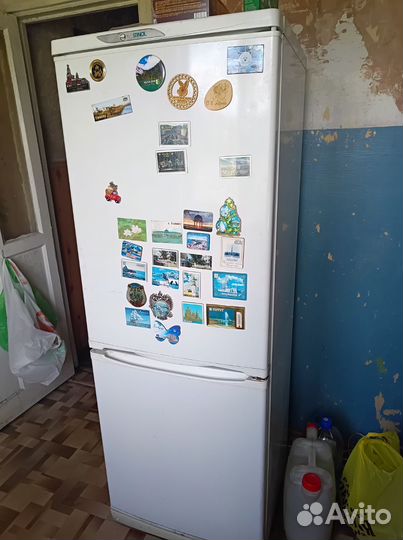 Холодильник stinol