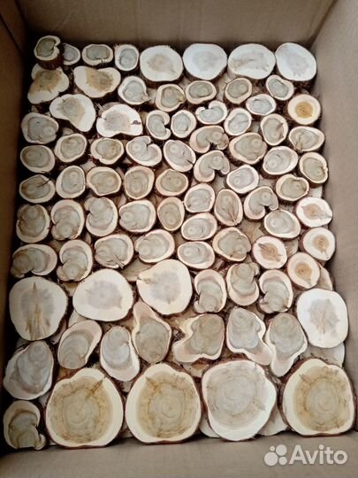 Можжевельник, срез,спил подставка, в наличии
