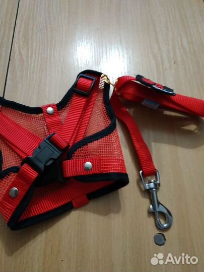 Аксессуары для собак