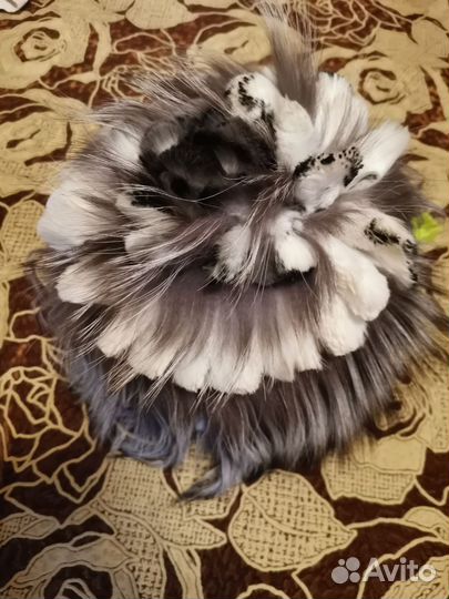 Шапка новая