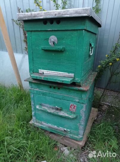 Улей. Рамки