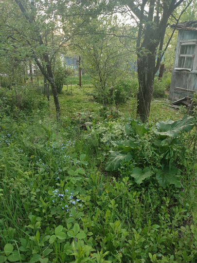 Участок 11 сот. (СНТ, ДНП)