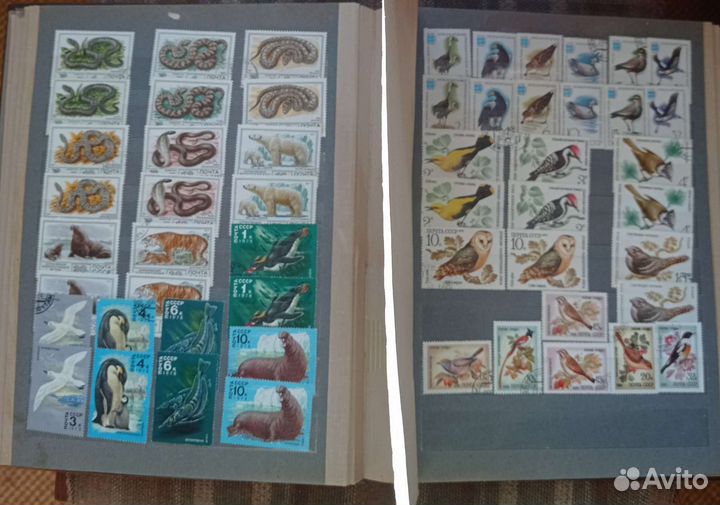 Альбом с марками СССР с 1957 по 1993 Фауна