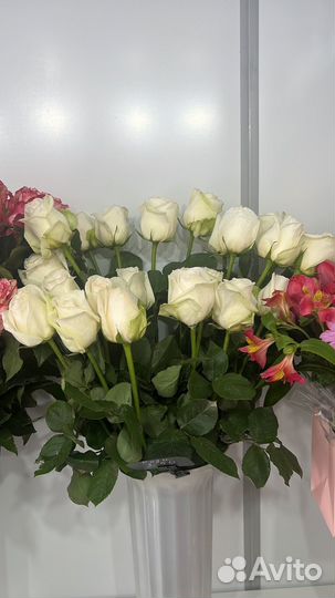 Розы, цветы с доставкой 24 часа