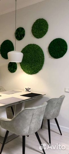 Стабилизированный мох панно