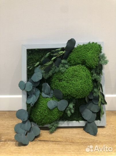 Интерьерная картина натуральный мох