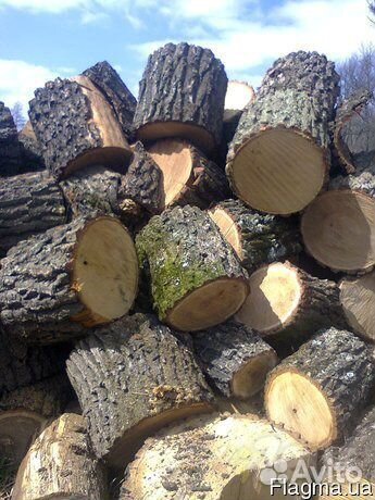 Дрова дубовые