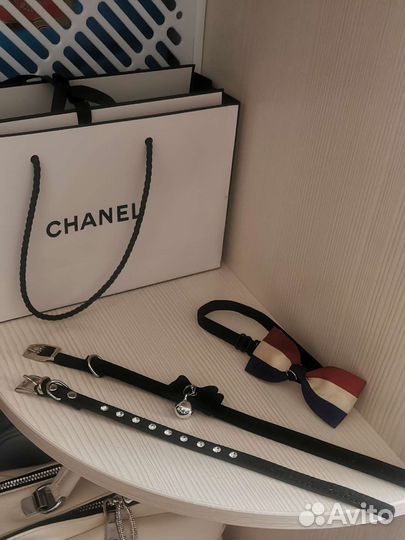 Ошейники для котёнка