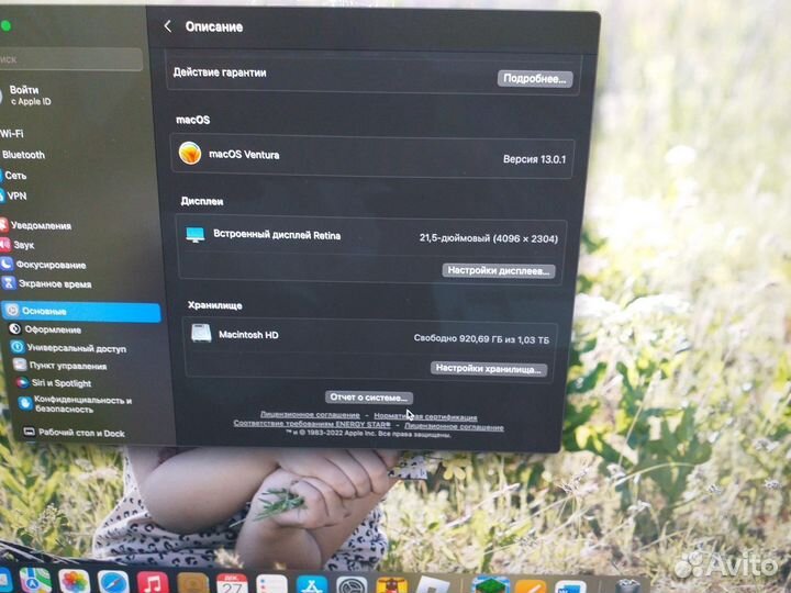 Моноблок Apple iMac 21,5'' Retina 4K (2019) A2116
