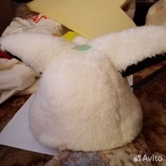 Фурсьют собаки