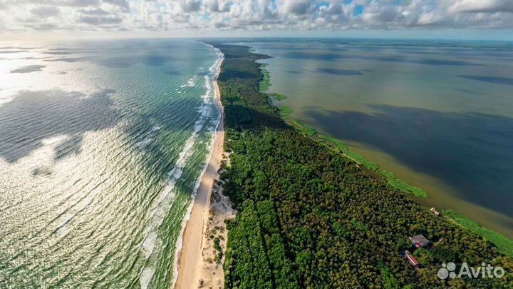 Поездки на Куршскую косу