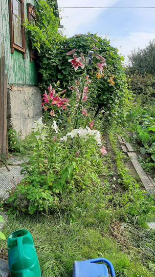 Дача 60 м² на участке 6 сот.