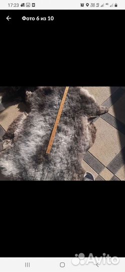 Овечьи шкурки натуральные