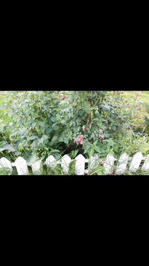 Дом 200 м² на участке 10 сот.