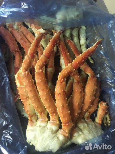 Креветка северная, королевская ваннамей, лангустин