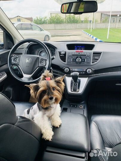 Honda CR-V 2.4 AT, 2013, 179 000 км