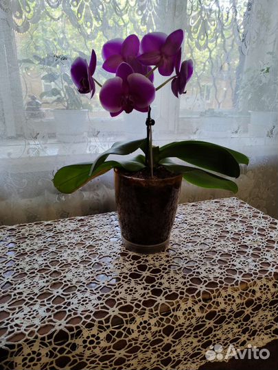 Кружевная салфетка на мебель ручной работы