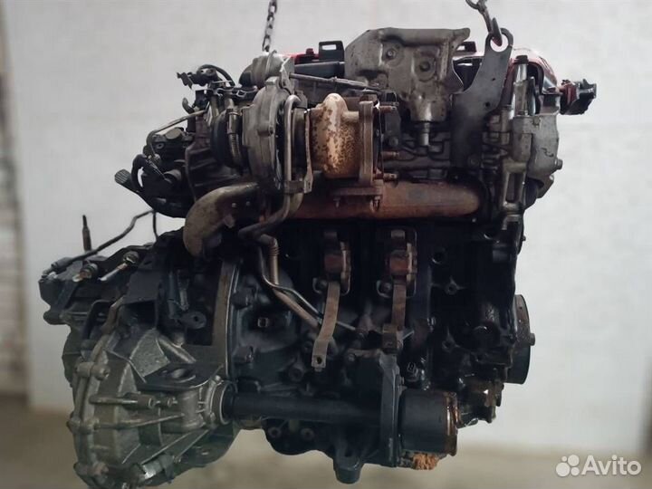 Двигатель M9R832 Renault Koleos 2.0 Дизель