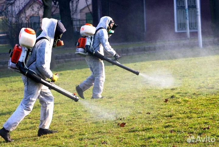 Уничтожение клопов тараканов грызунов блох клещей