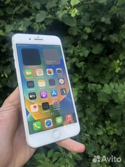 iPhone 8 Plus, 128 ГБ