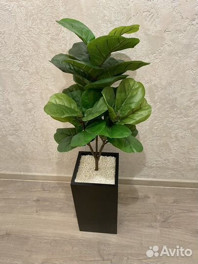 Фикус Лирата, пальма, искусственное дерево