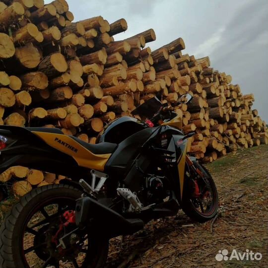 S2 Panther cbr 250