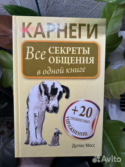Книги 2