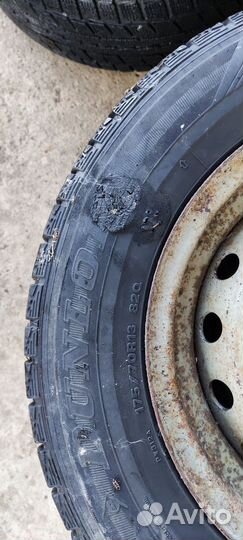 Dunlop Graspic DS3 175/70 R13