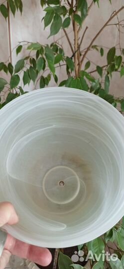 Горшок для цветов стеклянный(кашпо)