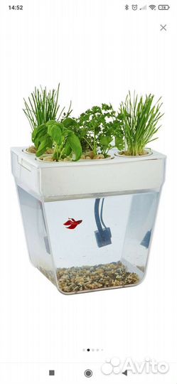 Акваферма 15 л