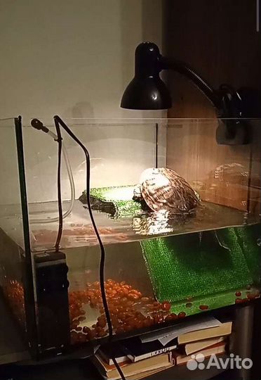 Аквариум с маленьким мостиком в подарок