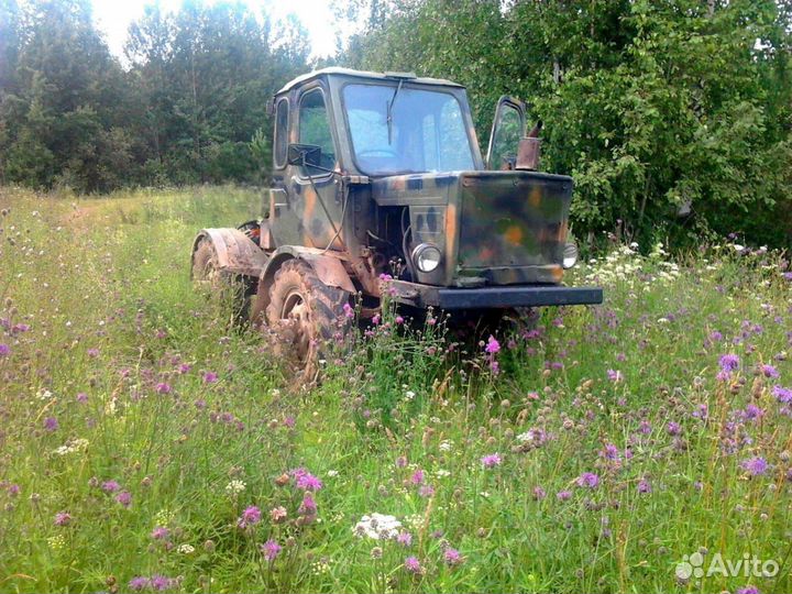 Трактор, 1981