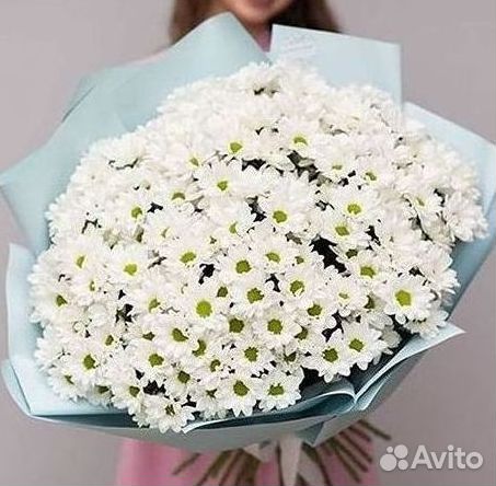 Хризантема Букеты доставка цветов