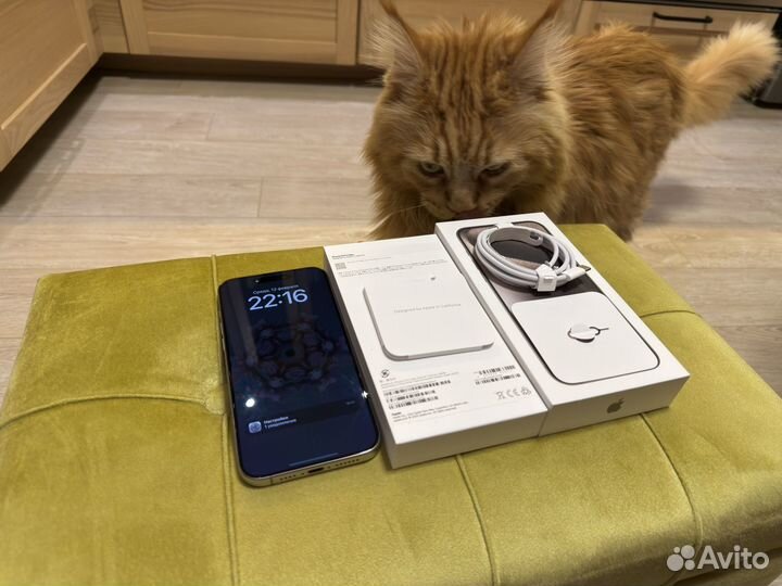 iPhone 15 Pro Max, 256 ГБ