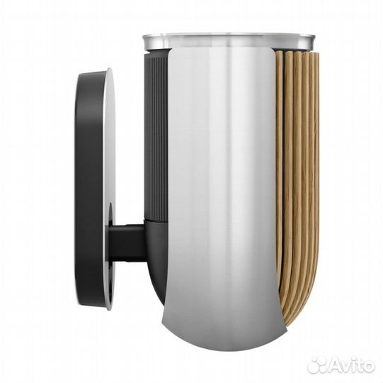 Bang & Olufsen Beolab 8 Silver OAK