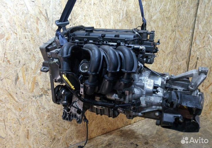 Двигатель Ford Focus / C-Max 1.6