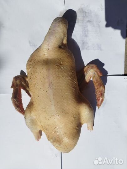 Продаю мясо утки
