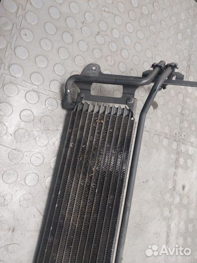 Радиатор масляный Volkswagen Tiguan, 2012