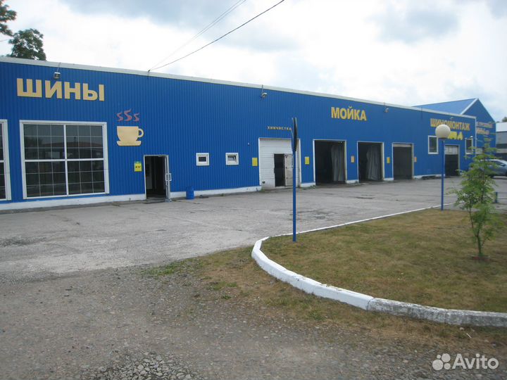 Dunlop Winter Sport 5 205/60 R16