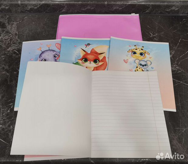 Набор тетрадей в папке