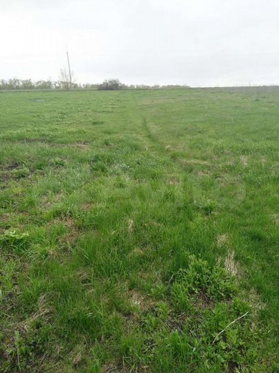 Дом 52 м² на участке 68 сот.