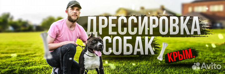 Кинолог.Дрессировка собак.Передержка